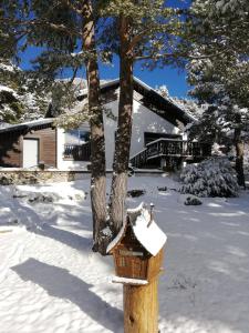CailleChalet familial à la montagne的屋前的木鸟屋,上面有雪