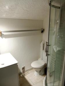 CailleChalet familial à la montagne的一间带卫生间和玻璃淋浴间的浴室