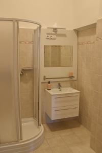 维斯普雷姆Furmint & Juhfark Apartmanok的一间带水槽和淋浴的浴室
