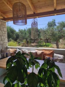 利萨基亚Black Pearl Apartment Lithakia Zakynthos的窗前的盆栽植物,有沙发