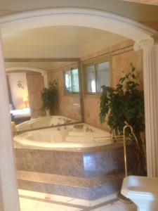 雷以桑布尔Villa “mas provençale”的客房内的浴室设有大浴缸