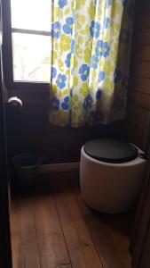 TuorilaNikolain tupa, vanha hirsitalo的浴室设有卫生间、窗帘和窗户。