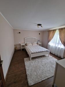 Păuşeşti-MăglaşiCasa din Deal的一间卧室设有床、窗户和地毯。
