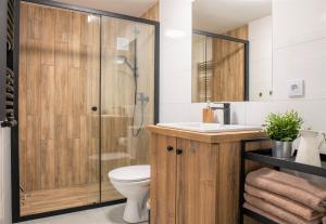 切霍齐内克Apartament Lawenda的带淋浴、卫生间和盥洗盆的浴室