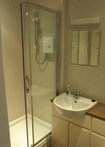 滕比Manorbier House - Lundy North Room的一间带水槽和淋浴的浴室
