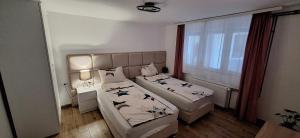 莱斯科瓦茨Apartman Živković的一间小卧室,配有两张床和窗户