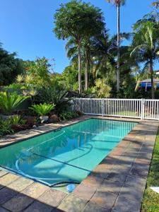 圣卢西亚Stone House的棕榈树庭院内的游泳池
