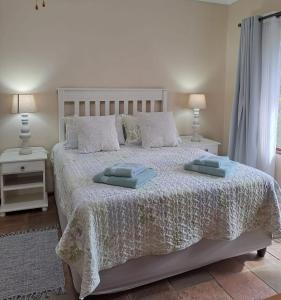 圣卢西亚Stone House的一间卧室配有一张带两个枕头的床