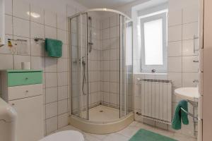 卢布尔雅那Studio Apartment Dominika的带淋浴和盥洗盆的浴室
