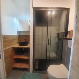 萨尔佐Appartement rez de jardin proche du centre ville de sarzeau的一间带卫生间和玻璃淋浴间的浴室