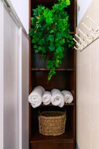 普洛德洛莫斯Stella's Country House的毛巾架,带毛巾和植物