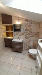 奥斯特罗沃Apartament "Na szlaku"的一间带水槽、浴缸和卫生间的浴室
