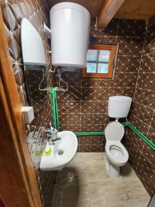 普卢日内Planinska tišina Guest House的一间带卫生间和水槽的浴室