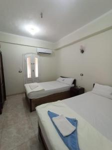 锡瓦Al-Manara Hostel Siwa Oasis的酒店客房设有两张床和窗户。