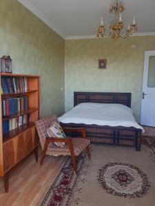 SamtrediaRecalls的一间卧室设有一张床和一个书架