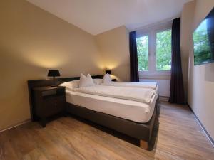 因特拉肯Swiss Inn & Apartments的一间卧室设有一张床和一个大窗户