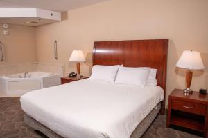 伊利伊利希尔顿花园酒店的酒店客房配有一张床和浴缸。