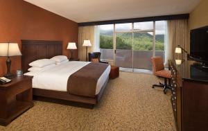 加特林堡加特林堡- 远景公园-希尔顿逸林酒店的酒店客房设有一张床和一个大窗户