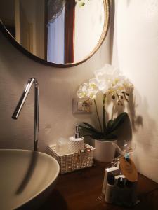 西尼斯科拉Domo Dizósa的浴室设有水槽、镜子和白色的鲜花