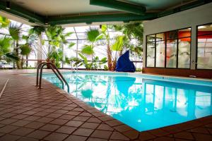 威奇托威奇托机场希尔顿逸林酒店的棕榈树度假村内的游泳池