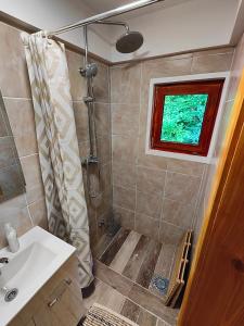 Apartma Sveti Martin的带淋浴和盥洗盆的浴室