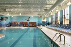 兰开斯特兰开斯特希尔顿逸林度假酒店的一个带蓝椅和鲨鱼壁画的大型游泳池
