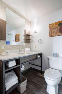 曼凯托曼凯托市中心希尔顿花园酒店的一间带水槽、卫生间和镜子的浴室