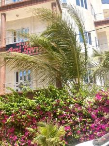 姆布尔Hôtel Ami Bamba的一座建筑前的棕榈树和鲜花
