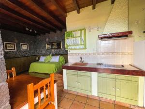 弗龙特拉Estudio Rural de Piedra的一个带水槽的厨房和一张位于客房内的床