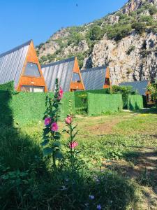 奥尔塔贾Aşı garden bungalow evleri的院子里鲜花盛开的小山上的房子