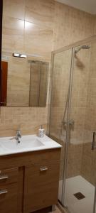 拉瓜迪亚Apartamento Sevilla 3的一间带水槽和淋浴的浴室