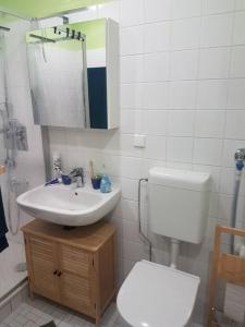 不来梅港Ferienwohnung `Ton Utkiek`的浴室配有白色卫生间和盥洗盆。