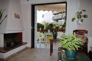 雅典Mονοκατοικία - Mεζονέτα的庭院内的客厅,种植了盆栽植物