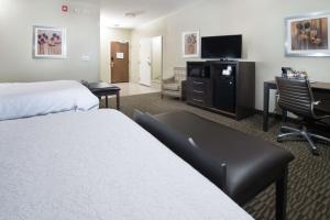 赫尔南多密西西比赫尔南多汉普顿酒店的酒店客房配有一张床、一张书桌和一台电视。