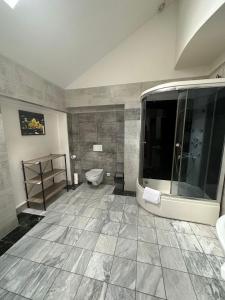 莫斯特Penzion pod lesem的带淋浴和卫生间的浴室。