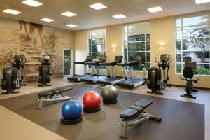 奥兰多Hilton Grand Vacations Club Las Palmeras Orlando的健身房,拥有许多健身器材