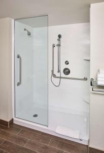 Point Edward萨尼亚/爱德华点汉普顿酒店的浴室里设有玻璃门淋浴