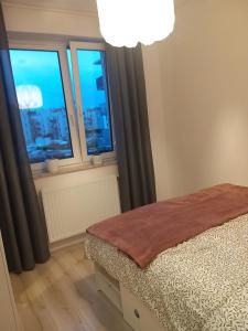 格但斯克Apartament Cztery Pory Roku Gdańsk的一间卧室设有一张床和两个美景窗户。