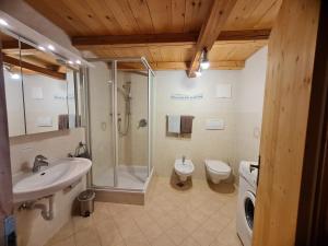 菲耶Salmsein Biohof的带淋浴、盥洗盆和卫生间的浴室