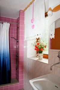 BranžežChalupa Branžež Komárovský rybník的粉红色的浴室设有水槽和淋浴
