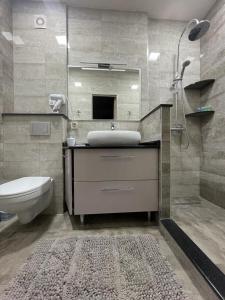 埃里温SM Apartment的一间带水槽、卫生间和镜子的浴室