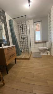 Siedlisko Rozalin的带淋浴、盥洗盆和卫生间的浴室