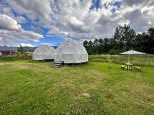 ŚciegnyGlamping Stodoła Dome的田野上的两个帐篷,配有桌子和长凳
