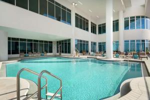萨拉索塔Embassy Suites By Hilton Sarasota的一座带椅子的大型游泳池