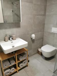 亚诺夫纳德尼索Apartmán v Jizerkách的浴室配有白色水槽和卫生间。