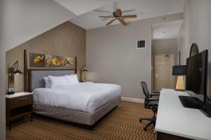里士满弗吉尼亚十字酒店 - 希尔顿Tapestry Collection酒店的酒店客房配有一张床、一张书桌和一台电视。