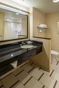 双子瀑布特温福尔斯万豪费尔菲尔德客栈套房酒店的一间带水槽、镜子和卫生间的浴室