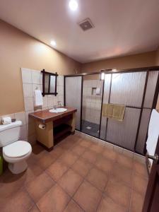 San AntonioBelen Suites的浴室配有卫生间、淋浴和盥洗盆。