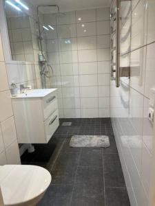 Nice apartment near Mölndal Centrum / Göteborg的一间浴室
