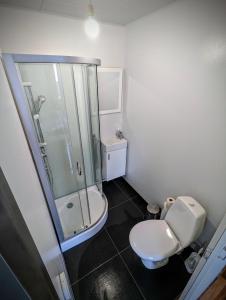韦斯特曼纳埃亚尔Central Apartments的一间带卫生间和玻璃淋浴间的浴室